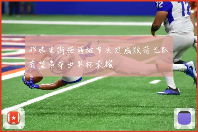 邓弗里斯强调细节决定成败荷兰队有望争夺世界杯荣耀